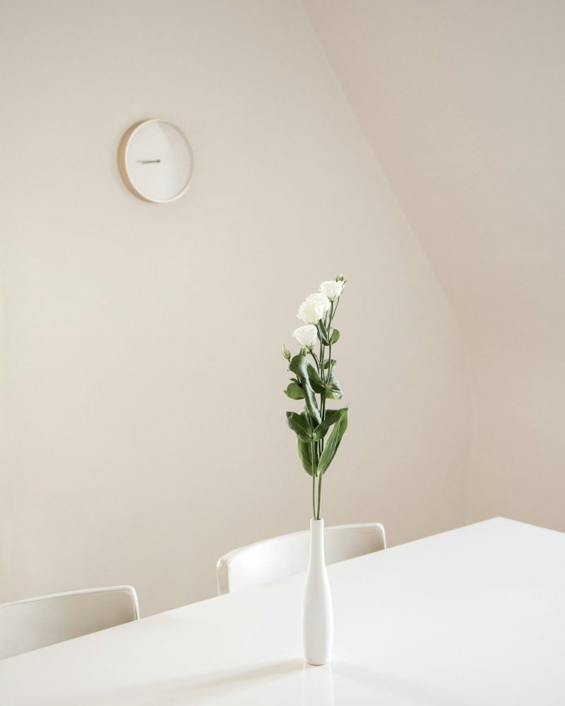 mathieu-perrier-44OaWM_ObWk-unsplash