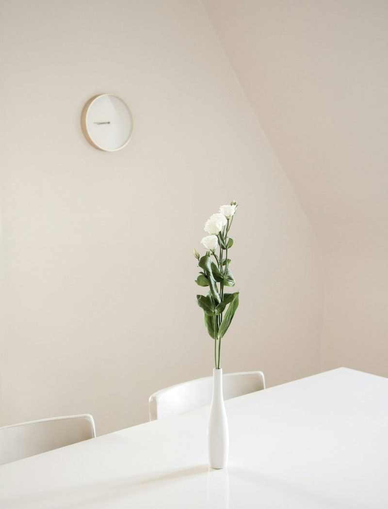 mathieu-perrier-44OaWM_ObWk-unsplash